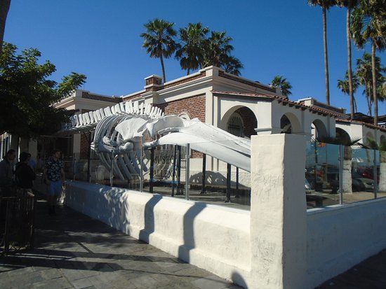 el Museo de La Ballena